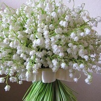 Тамара Гусева