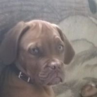 Катя Черепанова | 