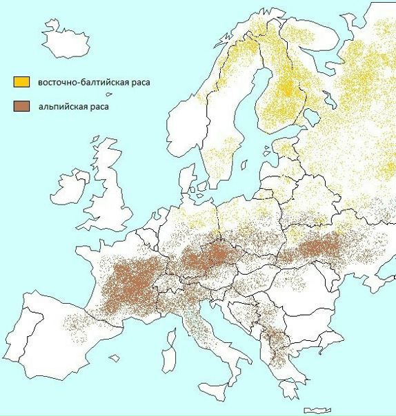 Нордическая раса карта