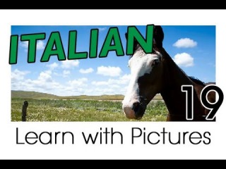 Learn Italian - Italian Farm Animals Vocabulary