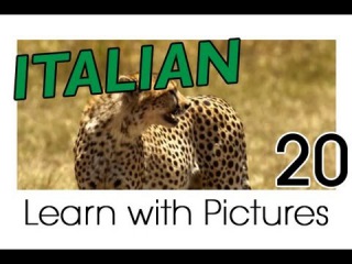 Learn Italian - Italian Safari Animals Vocabulary