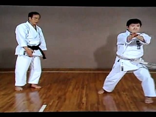 bassai dai kata bunkai