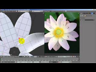 Modeling a Lotus flower in blender