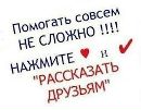 Объявление от Лана - фото №1