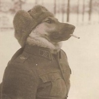 Саша Мельничук