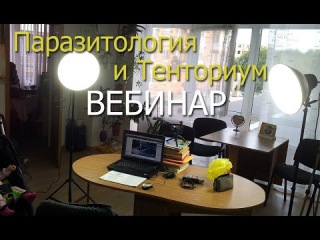 Тенториум и Паразиты. Вебинар Елена Мельник
