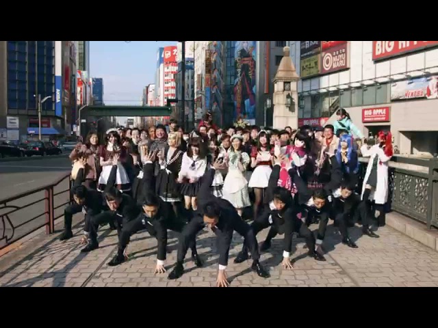 WORLD ORDER HAVE A NICE DAY