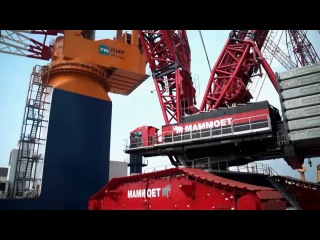 Liebherr - LR 13000 installing platform legs of the Aeolus in Bremerhaven