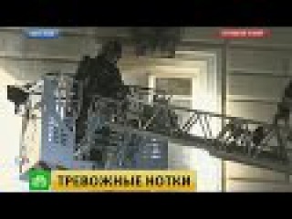 В задымленной консерватории пожарные проверяют деревянные перекрытия