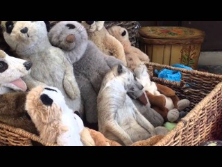 Сонный сурикат в корзине с игрушками