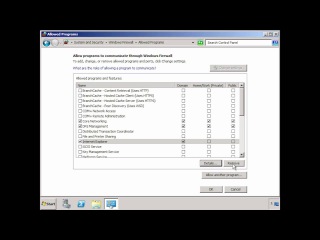 Windows Server 2008 Firewall