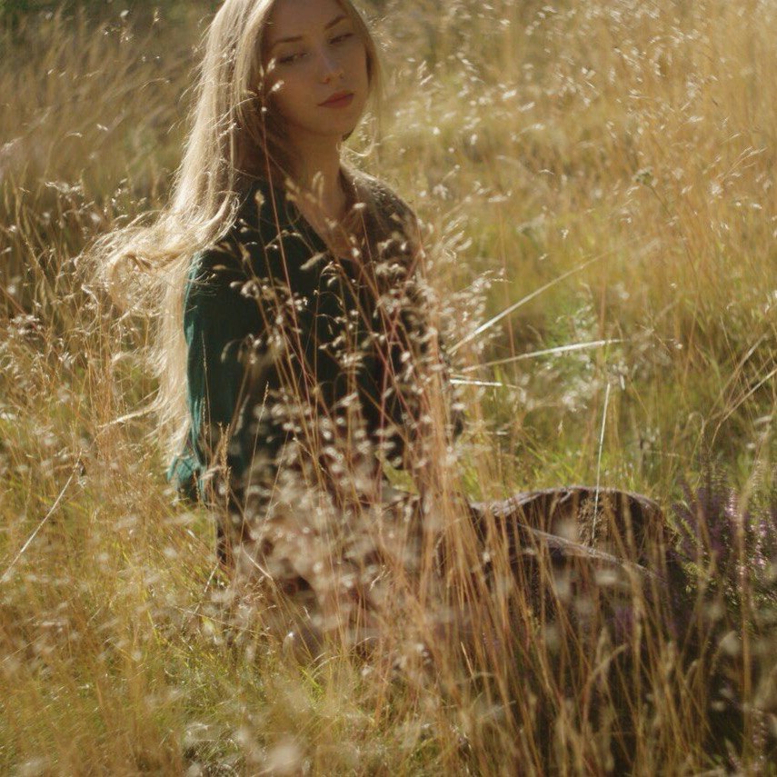 Ксения истомина картины