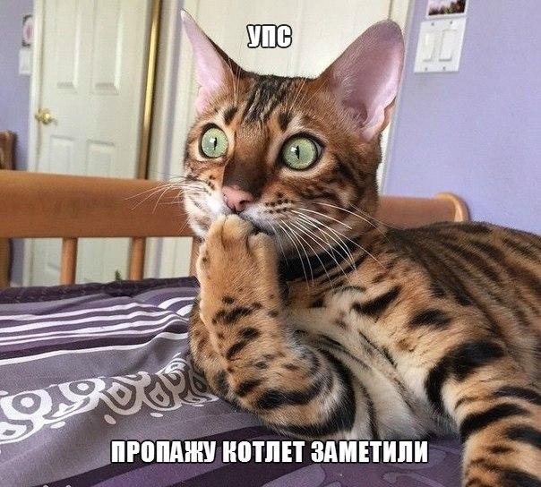 Автострахование киргиз мияки