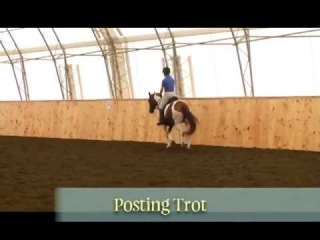 Posting and Sitting Trot - 40 Fundamentals of English Riding