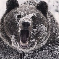 Василий Громов | Барановичи