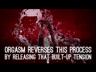 How The Female Orgasm Works