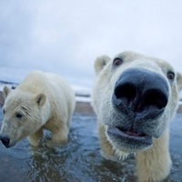 Блюдечкин Михаил