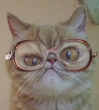 Чертилов Юрий