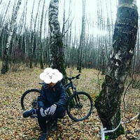 Михаил Носов