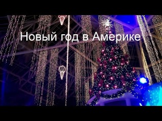 Новогодняя встреча американских блогеров, новый год в Америке