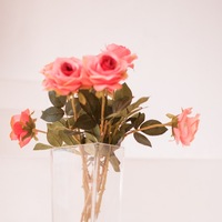 Марина Щёлкова