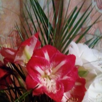 Юля Иванова