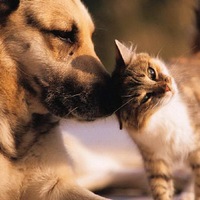 zoohelp_kaluga