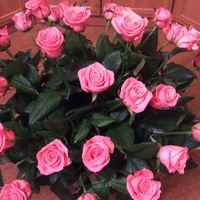 Анна Елисеева | Москва