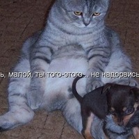 Антон Кузюрин