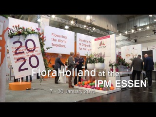 FloraHolland at the IPM Essen, 27 - 30 January 2015