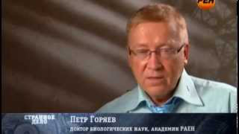 Сериал Гибель Империи смотреть онлайн бесплатно!