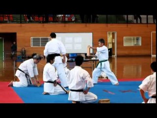 第4回加古川ジュニア空手道選手権大会 大石範士演武2015年3月21日