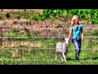 Training Goats For An Electric Fence | Homestead Kids