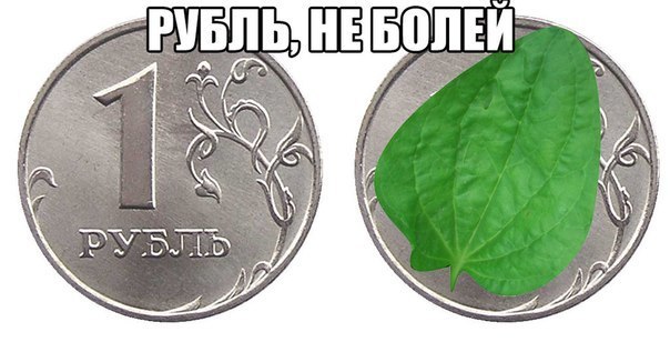 F_B7kf_BaQ4.jpg