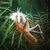 Фото пользователя Анна