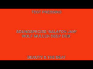 Soundspecies 'Balafon Jam Wolf Muller Deep Dub' Beauty & The Beat
