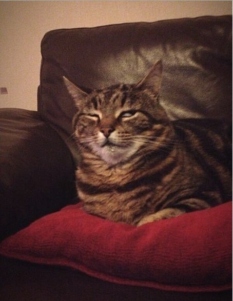 Экспериментальный Образец