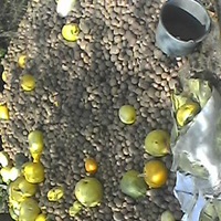 Илья Крамар | Монастырище