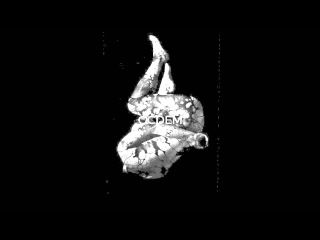 IAMX - 'Oh Cruel Darkness Embrace Me' Single