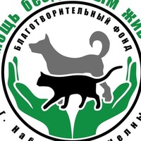 animals_help_chelny