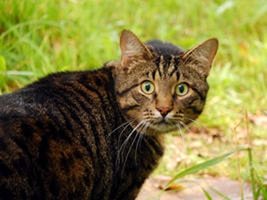 Тот момент, когда не подумав, променял 