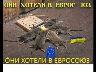 УКРАИНА 19.09.2014 ВРАГИ НАРОДА-АГЕНТЫ США ЯЦЕНЮК И ПОРОШЕНКО ПОДПИСАЛИ СМЕРТЕЛЬНЫЙ ПРИГОВОР УКРАИНЕ