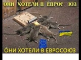 УКРАИНА 19.09.2014 ВРАГИ НАРОДА-АГЕНТЫ США ЯЦЕНЮК И ПОРОШЕНКО ПОДПИСАЛИ СМЕРТЕЛЬНЫЙ ПРИГОВОР УКРАИНЕ