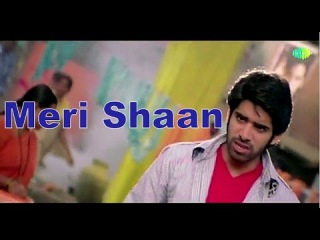 Meri Shaan