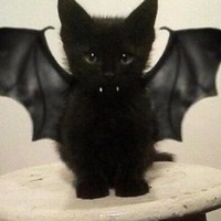 Людмила Иванова