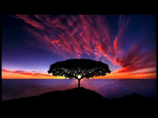 2 Hour Deep Meditation: Relax Mind Body, Spa Music, Background Music