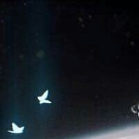 Тимур Дамбаев