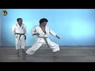 SHOTOKAN karate - The Nakayama - Empi Kata and Bunkai (Ката Эмпи)
