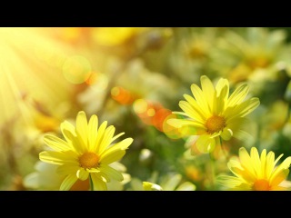 4 hours of relaxing, peaceful, nature instrumental music,