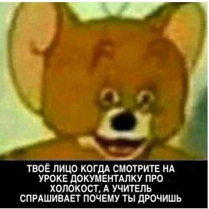 https://pp.userapi.com/c626119/v626119095/4d2ba/lDM9JQYYFXM.jpg